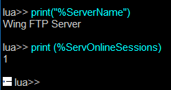 console-variables-example