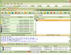 Main Interface - Customized Layout (Sample)